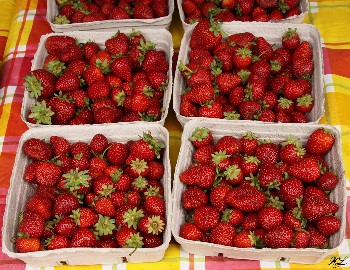 Trout Lake Farmers’ Market » Scenes From a Public Market